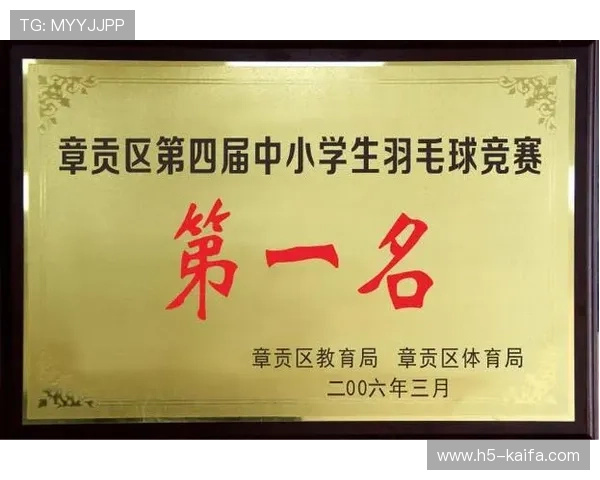 K8体育正规平台的合法运营背景与监管机制,保障每一位用户的权益