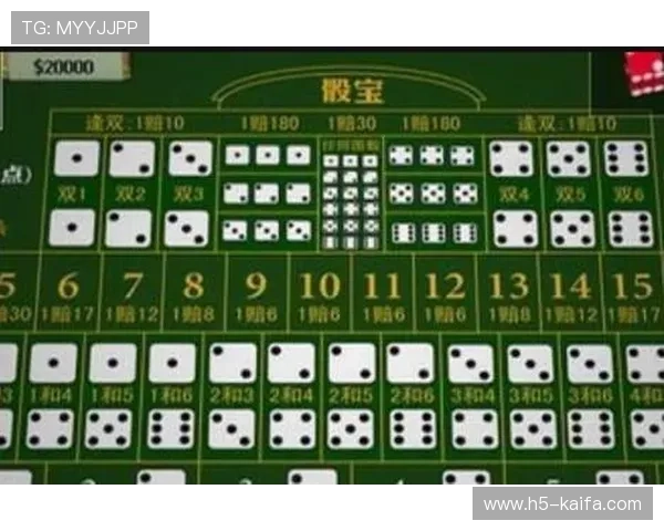 凯发骰宝高赔率策略分享帮助玩家实现稳定盈利的实用技巧